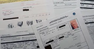 এপস্টেইন ফাইল নিয়ে মার্কিন রাজনীতিতে 'বিভীষিকা'; যারা আছেন তালিকায়